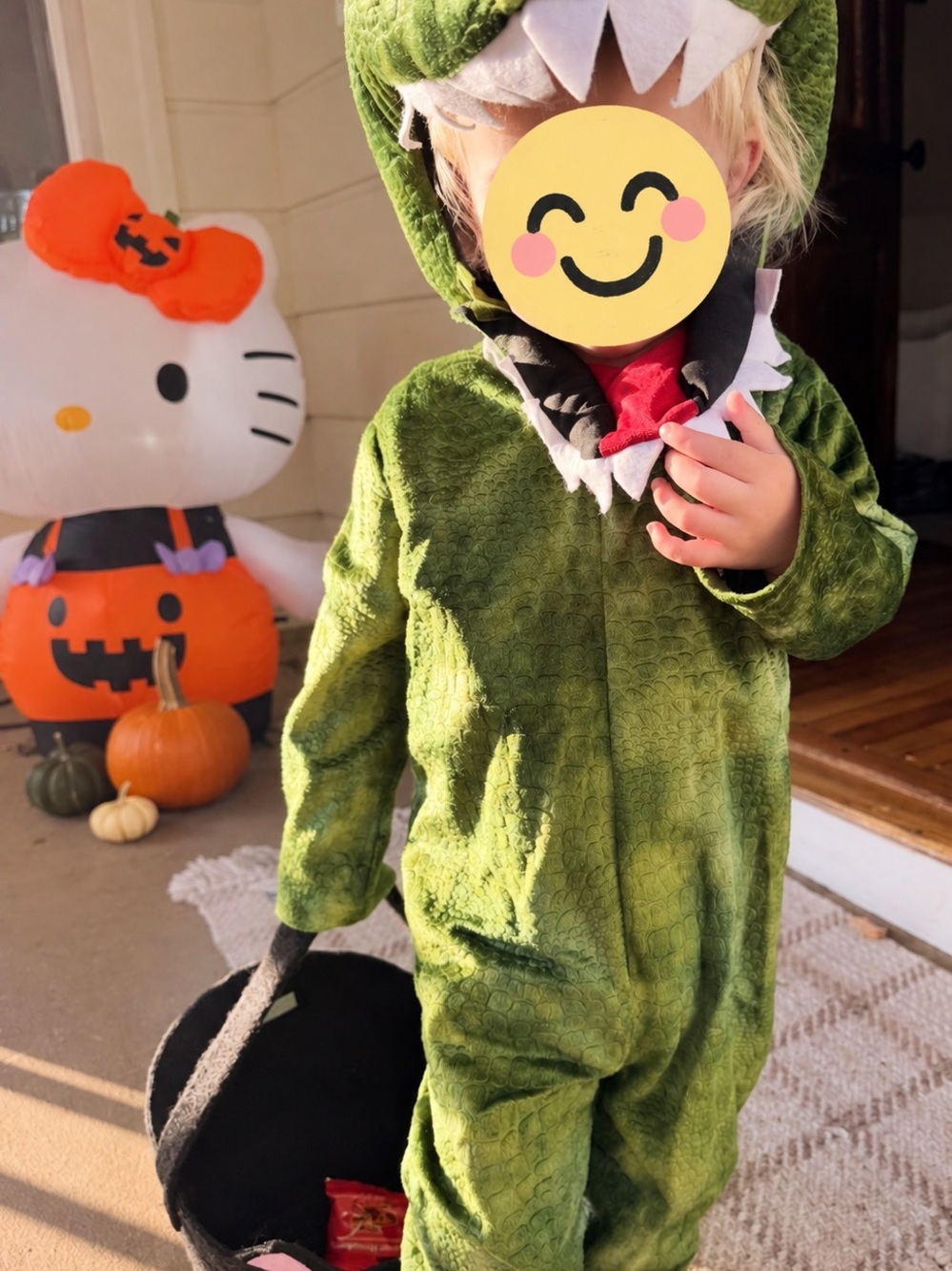 Pottery Barn Kids Green Plush Dinosaur Costume with dino head, one piece costume - Picture 5 of 5